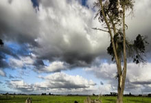 尤尔曼德：我们知道要与葡萄牙交手两次，所以这只是个开始.