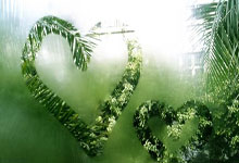 九游会体育：[德甲]德甲历史11大教练时刻.