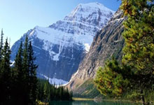 中国队晋级网球联合杯八强中国新闻网.