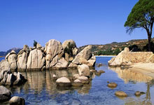 新华社体育图片每周佳作.